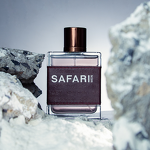 Perfume Spray - Manufacturer Wholesale 100mL Brand Design Long-lasting for Men