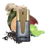 Perfume - Manufacturer 100mL ZUOFUN Dancer Original Hot Sale Men