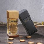 Perfume Cologne - Manufacturer 100mL Custom Long-lasting Woody for Men
