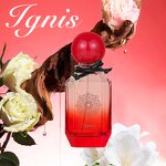 Perfume Spray - Manufacturer 100mL Custom Logo Floral Fruity Sweet Original