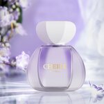 Perfume - Manufacturer 20Yr Factory Floral Women 100mL Wholesale In-Stock