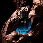 Perfume - Manufacturer 2024 New Custom Logo High Quality Arabic Fragrance