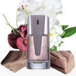 Perfume - Manufacturer 100mL ZUOFUN Dancer Original Hot Sale