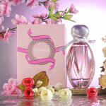 Perfume - Manufacturer Guangzhou Factory Full Custom Fragrance Design