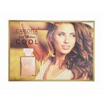 Perfume Set - Manufacturer Wholesale OEM 5pcs Sport Custom Logo