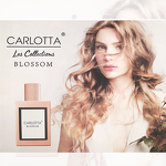 Perfume Set - Manufacturer Guangzhou Zuofun 5pcs Body Spray for Women