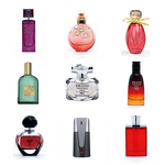 Perfume - Manufacturer ZUOFUN Factory Price OEM Private Label Custom