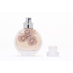 Perfume - Manufacturer Smart Brand Private Label Custom Logo for Women