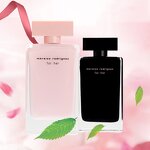 Women's Perfume Manufacturer - Supply Lasting Amber Light Charm