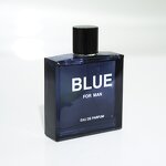 Men's Perfume Manufacturer - Natural Light Woody Blue Literary