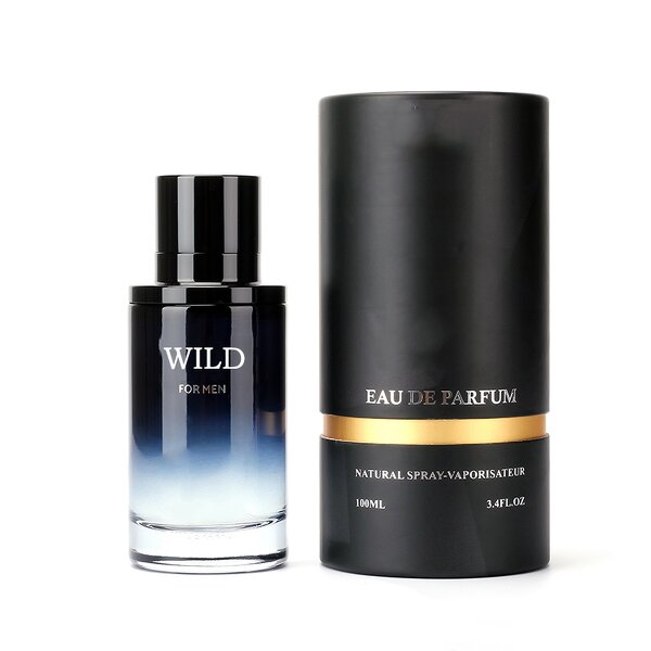 Body Mist - Manufacturer Wholesale Custom Logo Savage Men's Long-lasting Hot Selling