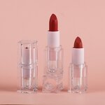 Lipstick - Manufacturer Private Label Long-lasting Waterproof Professional Makeup