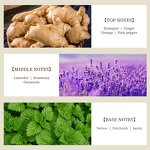 Perfume Oil - Manufacturer Wholesale 1kg Pure Concentrated Famous Brand Fragrance