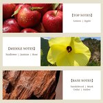 Perfume Oil - Manufacturer Wholesale 1kg Pure Concentrated Famous Brand Fragrance