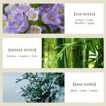 Perfume Oil - Manufacturer Wholesale 1kg Pure Concentrated Famous Brand Fragrance