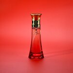 Perfume Spray - Manufacturer 100mL Hanna's Secret Floral Fruity Wholesale for Women