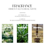 Perfume EDP - Manufacturer 100mL Wholesale Arabic Dubai Long-lasting Original for Women