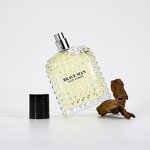 Perfume EDP - Manufacturer 100mL Hanna's Secret Warm Spicy Daily Long-lasting for Men
