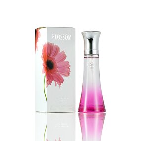 Perfume Spray - Manufacturer Wholesale 100mL Original Brand Long-lasting Body Spray Women