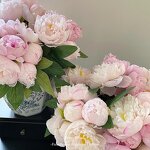 Artificial Peony Flower Manufacturer - for Wedding Home Decoration Bouquet