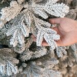 Christmas Tree Manufacturer - 2.4-meter Large Encrypted Snow with Flocking