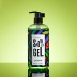 Shower Gel - Manufacturer OEM/ODM 500mL High Bubble Body Wash Liquid