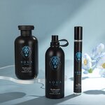 Gift Set - Manufacturer Private Label Christmas Men's Mist Shower Gel Body