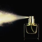 Perfume - Manufacturer Wholesale 100mL Long-lasting Fragrance for Men & Women