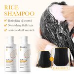 Shampoo - Manufacturer Rice Slurry Dandruff Oil Control Fluffy Fragrant