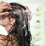 Shampoo - Manufacturer Rosemary Dandruff Oil Control Fluffy Smooth