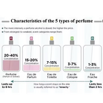 Cologne - Manufacturer Wholesale Original Designer Custom Long-lasting Popular for Men