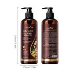 Shampoo - Manufacturer Ginger Polygonum Multiflorum Strong Tough Cleansing