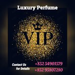 Perfume - Manufacturer Wholesale 100mL Long-lasting Fragrance for Men & Women