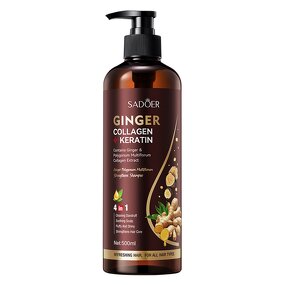 Shampoo - Manufacturer Ginger Polygonum Multiflorum Strong Tough Cleansing