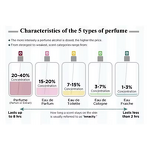 Perfume EDP - Manufacturer 50mL Wood Tone Long-lasting Neutral The One for Men