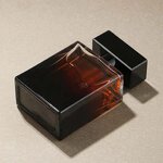 Perfume EDP - Manufacturer 50mL Wood Tone Long-lasting Neutral The One for Men