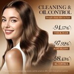 Shampoo - Manufacturer Ginger Amino Acid Anti Detachment Oil Control Smooth