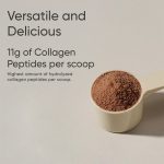 Super Greens Powder Supplier - Spirulina Chlorella Energy