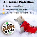 Organic Mushroom Complex Supplier - 7 Species Lion's Mane Reishi