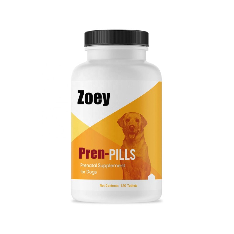 Dog Paw Balm Supplier - Coconut Oil Shea Butter Healing