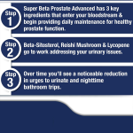 Schisandra Capsules Supplier - Liver Stress Management Energy