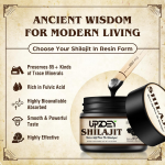 Shilajit Gummy Factory - 600mg Energy Immune Focus