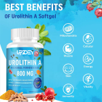 Vegan Omega 3 DHA Manufacturer - Algal Oil Heart Brain Joint