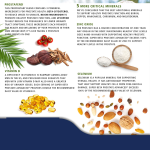 Schisandra Capsules Supplier - Liver Stress Management Energy