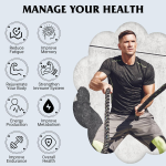 Yerba Mate Tea Powder Supplier - Instant Probiotic Energy Gut