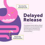清洁排毒软糖供应商-奶蓟草消化能量