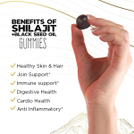 Shilajit Gummy Factory - Chaga Ashwagandha Ginseng Blend