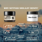 Shilajit Gummy Factory - 600mg Energy Immune Focus