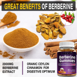 Berberine Supplement Supplier - Ceylon Cinnamon Heart Health