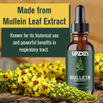 Mullein Drops Manufacturer - Lung Cleanse Respiratory Support